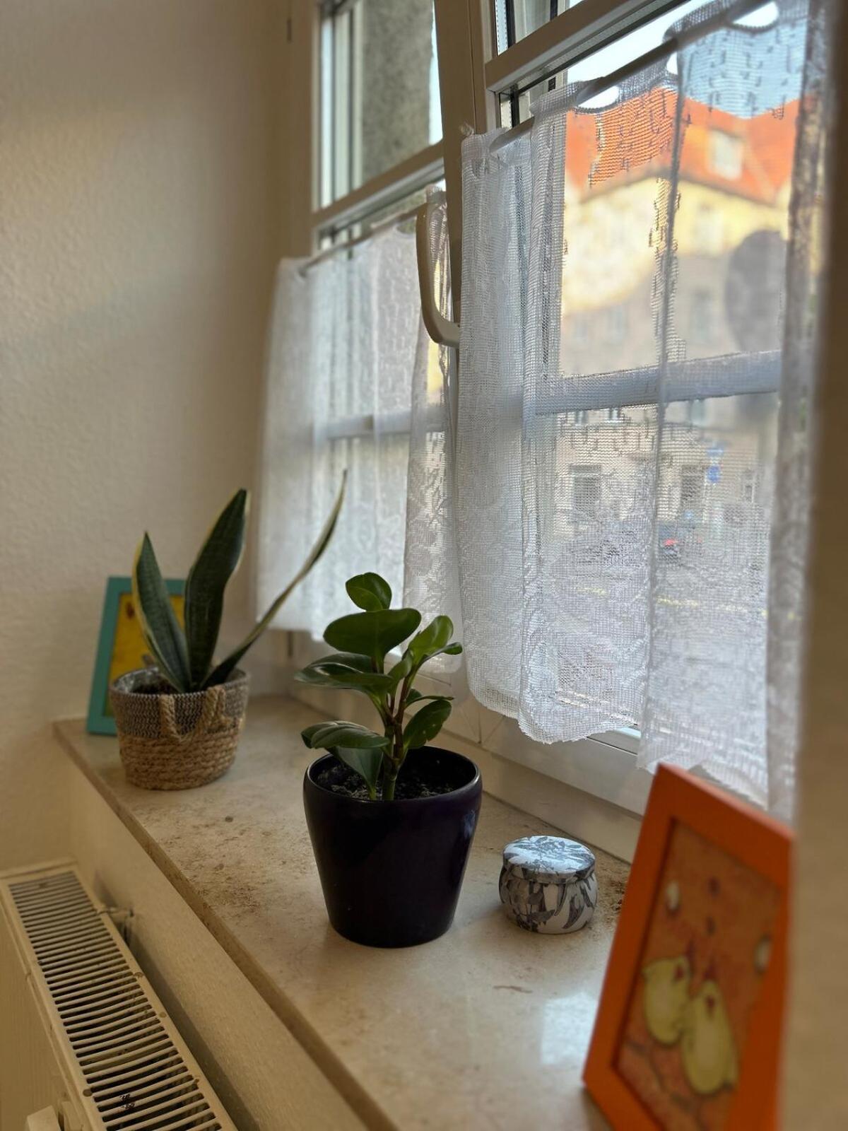 Sonnige Wohnung, Nur 10 Minuten Bis Ins Zentrum Erfurt